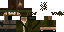 Texture for Snake