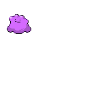 Texture for Ditto