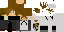 Texture for MimazaGamer