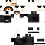 Texture for PANDA