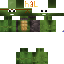 Texture for tiny turtle
