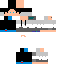 Texture for mineskin