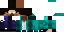 Texture for didahero