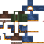 Texture for Wandering Trader