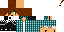 Texture for char