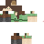 Texture for Aliceee