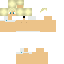 Texture for CrazyRobot9