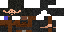Texture for rogue