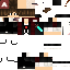 Texture for SuperToad