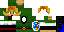 Texture for DAN LINK
