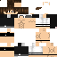 Texture for Flipper4