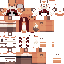 Texture for Fox