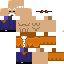 Texture for Master Roshi, the Turtle Hermit!!
