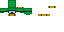 Texture for turtle_layer_1