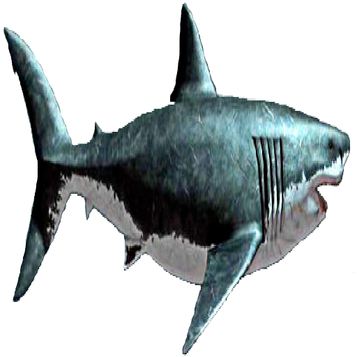 Texture for megalodon