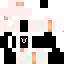 Texture for panda13