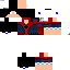 Texture for Steve