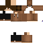 Texture for Neo_Gamer