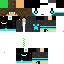 Texture for Ender