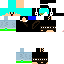 Texture for gaviao arqueiro