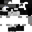 Texture for Steve