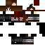 Texture for cassi1