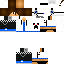Texture for steve