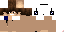 Texture for PenginNerf