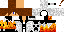 Texture for ...