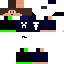Texture for FeliLP