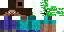 Texture for steve creeper