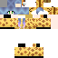 Texture for Rose