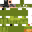 Texture for Kermitronic of Endless