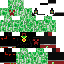 Texture for creeperfeed