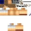 Texture for Hugo_Nic