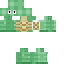 Texture for Turtlel