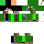 Texture for torterra