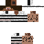 Texture for Steve