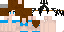 Texture for nanhinha