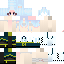 Texture for 1412