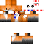 Texture for Mr.fox