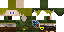 Texture for Link