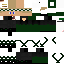 Texture for PABLO