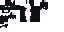 Texture for Shadow