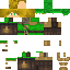 Texture for Link