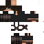 Texture for dan1010
