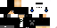 Texture for t5