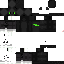 Texture for Sweez FIX