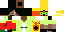 Texture for Metior
