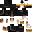 Texture for King